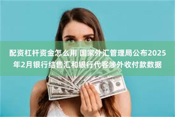 配资杠杆资金怎么用 国家外汇管理局公布2025年2月银行结售汇和银行代客涉外收付款数据