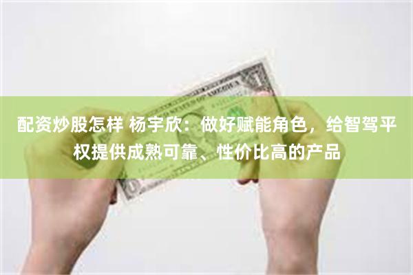 配资炒股怎样 杨宇欣：做好赋能角色，给智驾平权提供成熟可靠、性价比高的产品