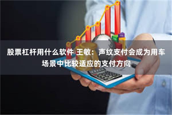 股票杠杆用什么软件 王敏：声纹支付会成为用车场景中比较适应的支付方向