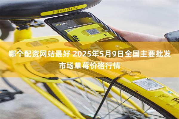哪个配资网站最好 2025年5月9日全国主要批发市场草莓价格行情