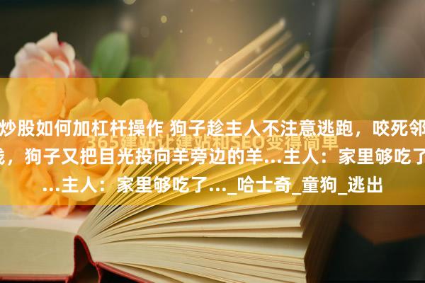 炒股如何加杠杆操作 狗子趁主人不注意逃跑，咬死邻居家鸡，主人含泪赔钱，狗子又把目光投向羊旁边的羊...主人：家里够吃了..._哈士奇_童狗_逃出