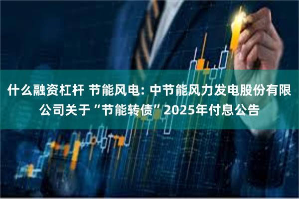 什么融资杠杆 节能风电: 中节能风力发电股份有限公司关于“节能转债”2025年付息公告