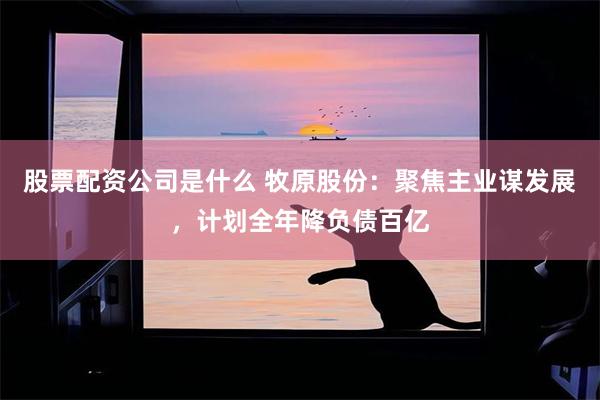 股票配资公司是什么 牧原股份：聚焦主业谋发展，计划全年降负债百亿