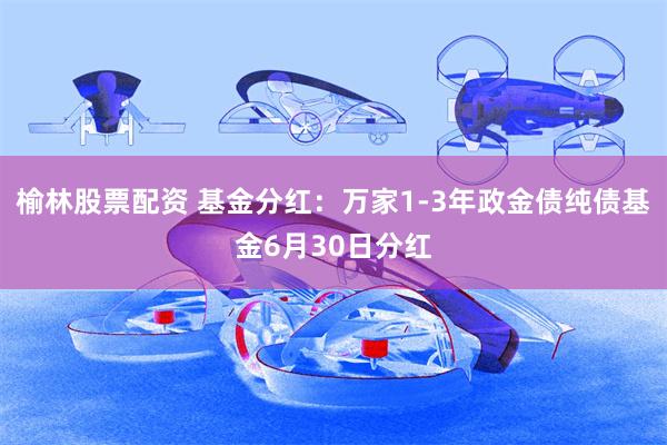 榆林股票配资 基金分红：万家1-3年政金债纯债基金6月30日分红