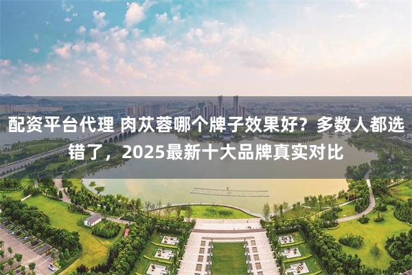 配资平台代理 肉苁蓉哪个牌子效果好?多数人都选错了,2025最新十大品牌真实对比