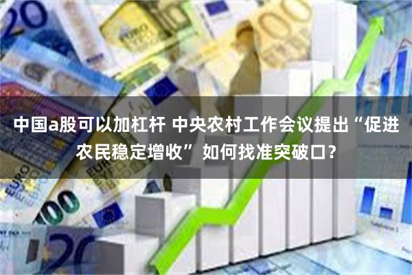 中国a股可以加杠杆 中央农村工作会议提出“促进农民稳定增收” 如何找准突破口?